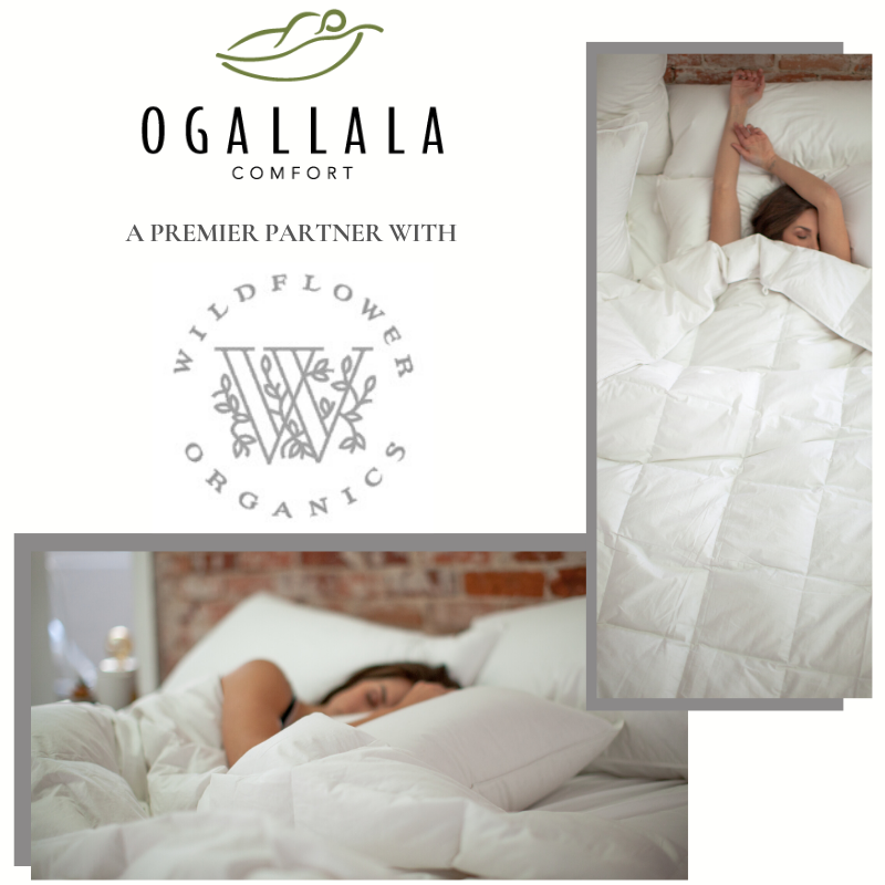 Meet Wildflower Organics: Where Conscious Design Meets Community
