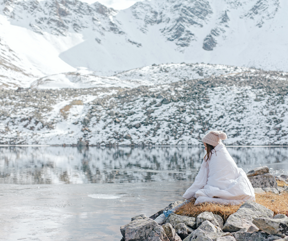 Denali Arctic Comforter
