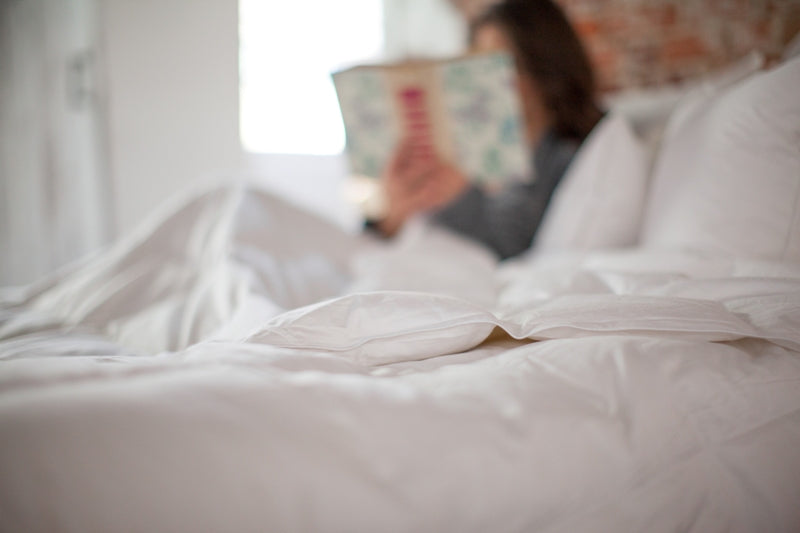 Quality vs Price? How to Determine What Works for You.