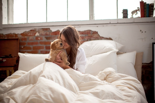 Cozy up to Better Sleep