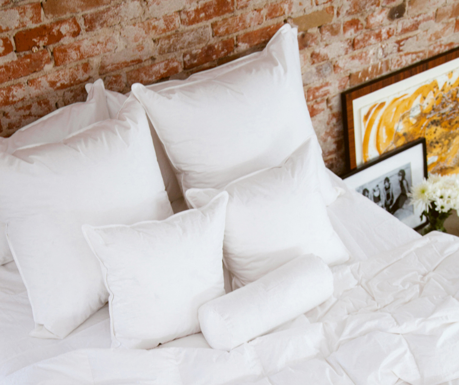 Euro Decorative Pillows